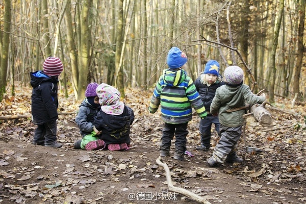 森林做教室 帶你看看世界各國的兒童自然教育